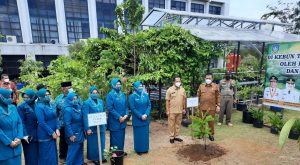 Mendagri dan Ketum TP-PKK Tanam Bibit Pohon di Kebun PKK Kepri