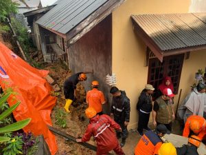 BPBD Tanjungpinang Gerak Cepat Evakuasi Pohon Tumbang dan Tanah Longsor