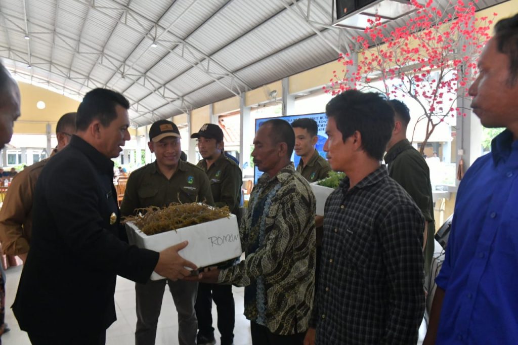 Ansar Serahkan Bantuan ke Nelayan di Batam: Rumah Jaga Tambak Udang-Budidaya Rumput Laut