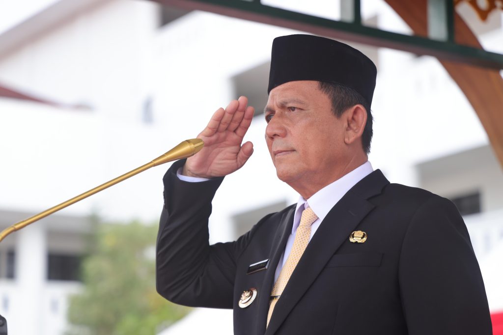 Ansar Jadi Irup Hari Pahlawan 2023, Ajak Perangi Kemiskinan-Berantas Kebodohan