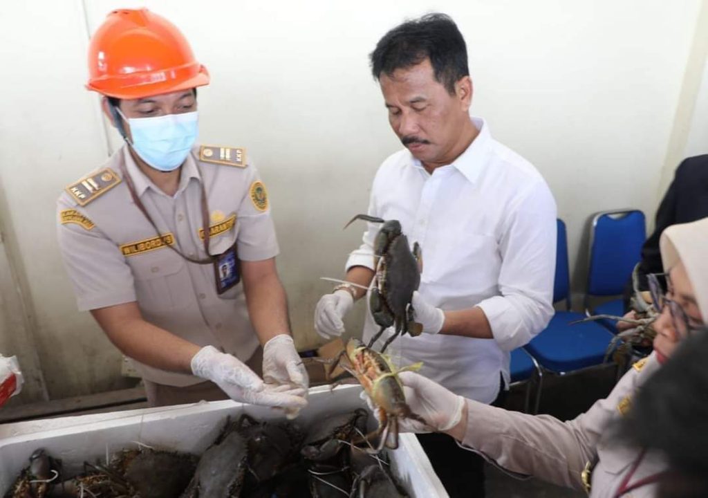 Rudi Lepas Ekpor Perdana Kepiting Bakau ke China: Maksimalkan Potensi Daerah