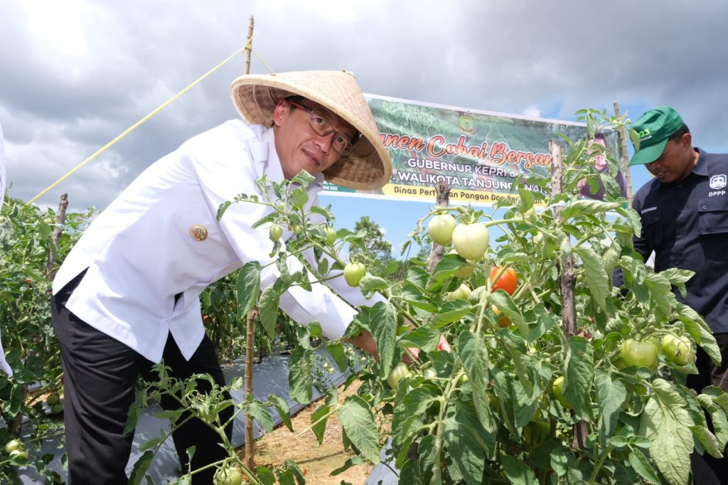 Hasan Ajak ASN Pemko Tanjungpinang Giat Menanam Tanaman Hortikultura, Upaya Pengendalian Inflasi