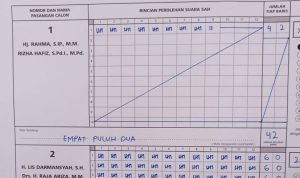 Lis-Raja Menang Telak di Tiga TPS Ini, Selisih 510 Suara