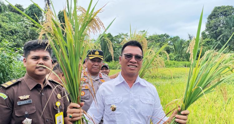 Negeri Maritim Bangkit dengan Pertanian, Aneng: Anambas Siap Jadi Lumbung Pangan Baru Indonesia