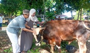Raja Ariza dan Istri Berkurban di Kediaman, Bagikan Daging untuk Warga Sekitar