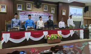 Peringati Hari Jadi ke-17 Anambas, Aneng Ajak Semua Elemen Bersatu Bangun Daerah