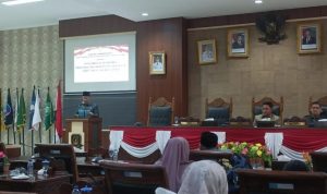 Sampaikan LKPJ 2024, Aneng Apresiasi Pemkab Anambas Raih Opini WTP 8 Kali Berturut-turut