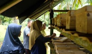 Medco E&P Dorong Kebangkitan Ekonomi Langir Lewat Budidaya Ketam dan Madu Kelulut