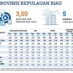 Tanjungpinang Raih Nilai Tertinggi IDSD 2025 di Kepri