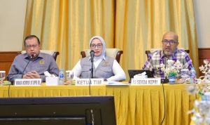 Kepri Tumbuh Tinggi, Pemprov Beberkan Tantangan Kepulauan ke Komisi IX DPR RI