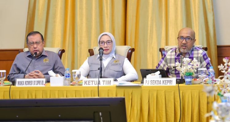 Kepri Tumbuh Tinggi, Pemprov Beberkan Tantangan Kepulauan ke Komisi IX DPR RI