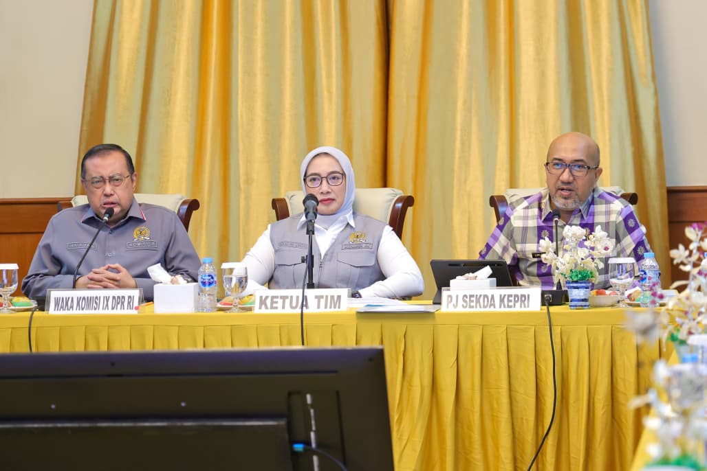 Kepri Tumbuh Tinggi, Pemprov Beberkan Tantangan Kepulauan ke Komisi IX DPR RI