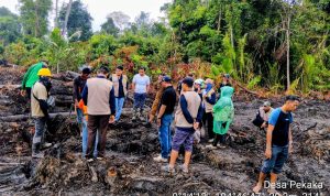 Pemda Minta Hentikan Land Clearing di Lahan Sagu Pekaka Lingga