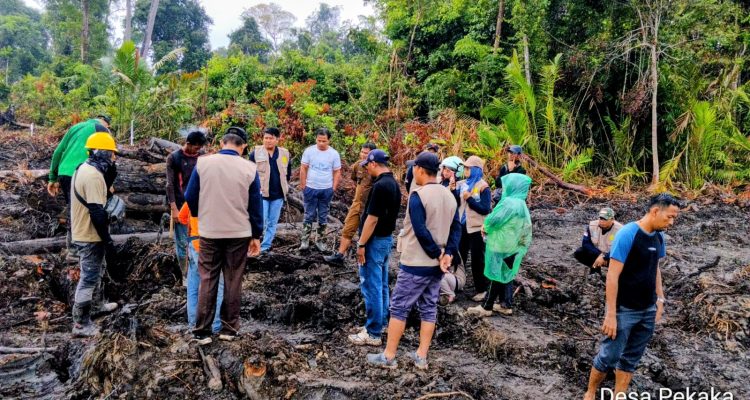 Pemda Minta Hentikan Land Clearing di Lahan Sagu Pekaka Lingga