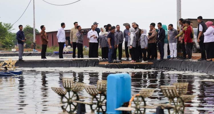 Tinjau Tambak Udang di Tanjungpinang, Komisi IX DPR RI Dorong Investasi dan Perlindungan Pekerja