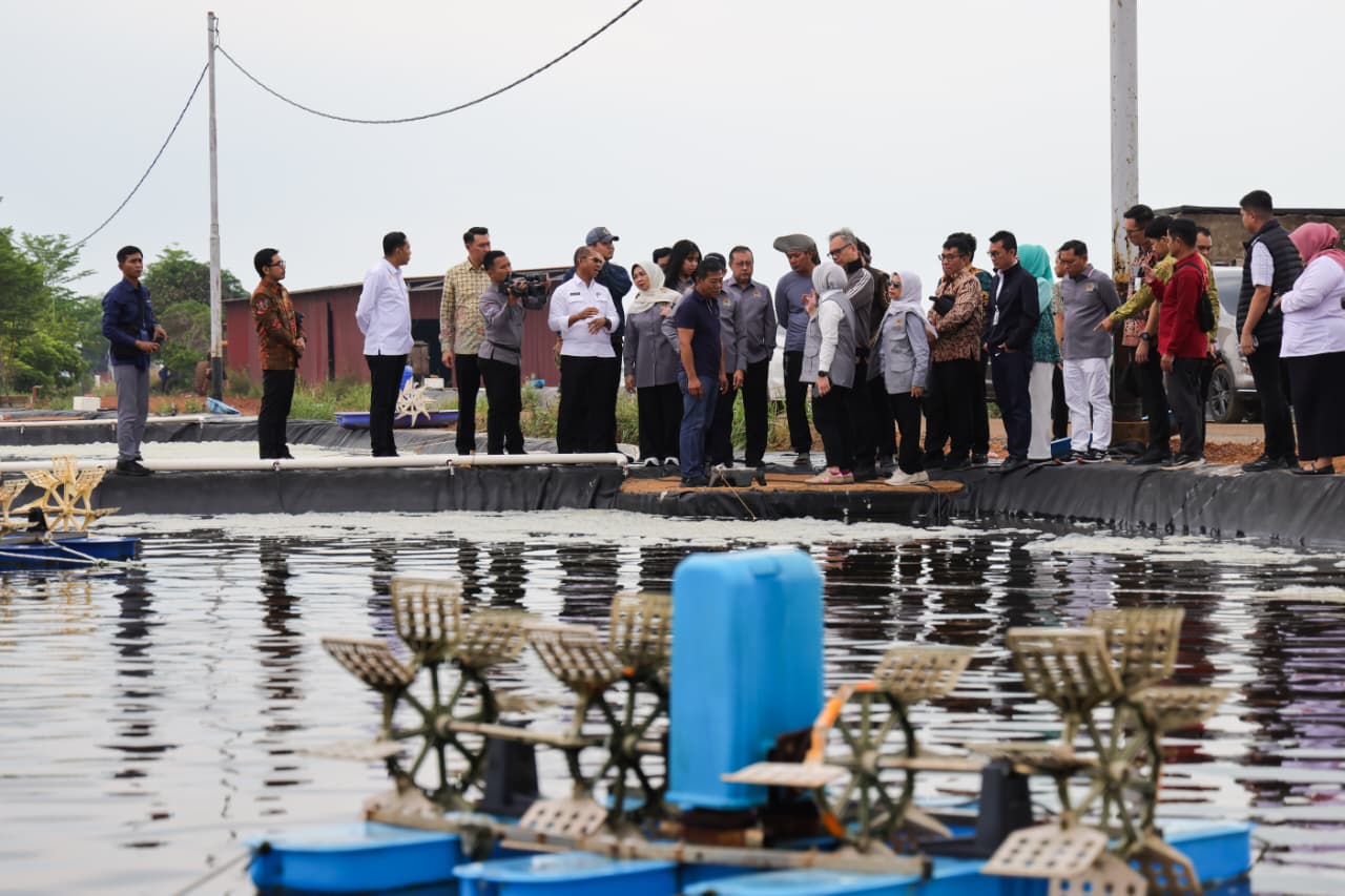 Tinjau Tambak Udang di Tanjungpinang, Komisi IX DPR RI Dorong Investasi dan Perlindungan Pekerja