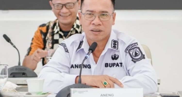 Bupati Aneng Dampingi Wagub Kepri Audiensi ke Bappenas, Perjuangkan Pembangunan Anambas