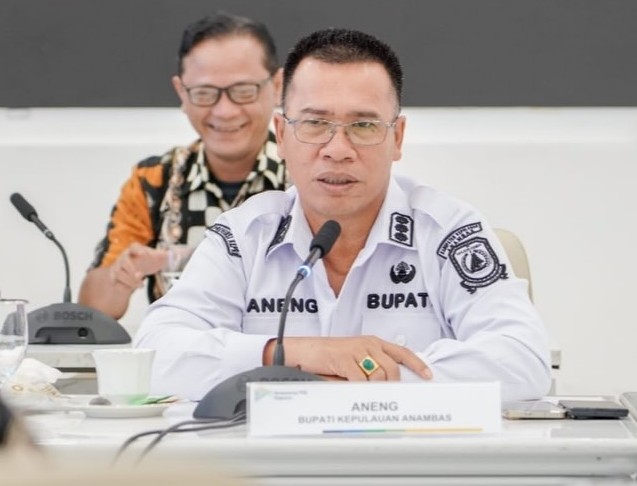 Bupati Aneng Dampingi Wagub Kepri Audiensi ke Bappenas, Perjuangkan Pembangunan Anambas
