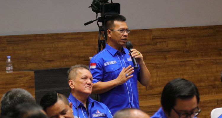 Aneng dan Jalan Panjang yang Belum Selesai di Demokrat Kepri