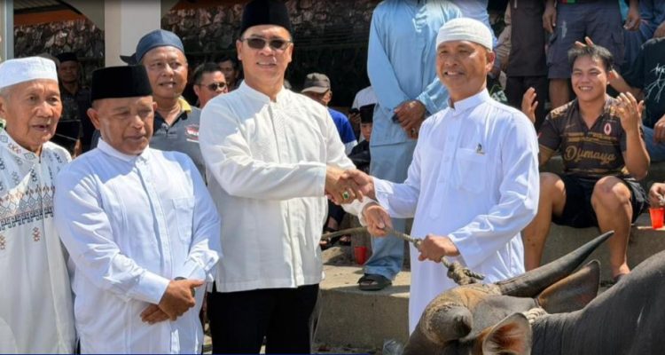 Bupati Anambas Serahkan Bantuan Sapi Kurban Presiden RI untuk Masyarakat Jemaja
