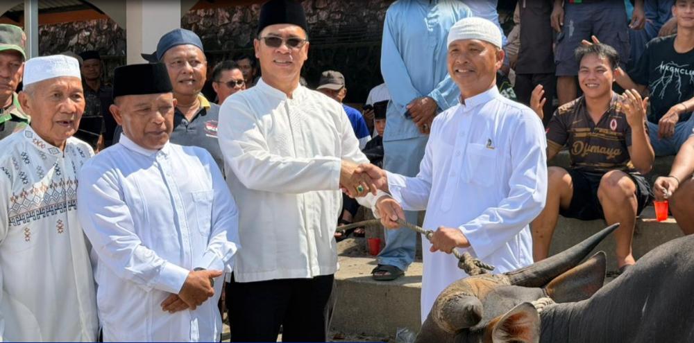 Bupati Anambas Serahkan Bantuan Sapi Kurban Presiden RI untuk Masyarakat Jemaja