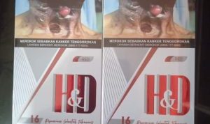Ancaman Menkeu Purbaya Angin Lalu, Rokok Ilegal Merek HD Banjiri Tanjungpinang