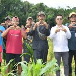 Panen Padi HUT Anambas ke-18, Bupati Aneng Serahkan Bantuan Alsinta ke Kelompok Tani