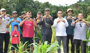 Panen Padi HUT Anambas ke-18, Bupati Aneng Serahkan Bantuan Alsinta ke Kelompok Tani