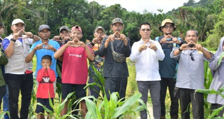 Panen Padi HUT Anambas ke-18, Bupati Aneng Serahkan Bantuan Alsinta ke Kelompok Tani